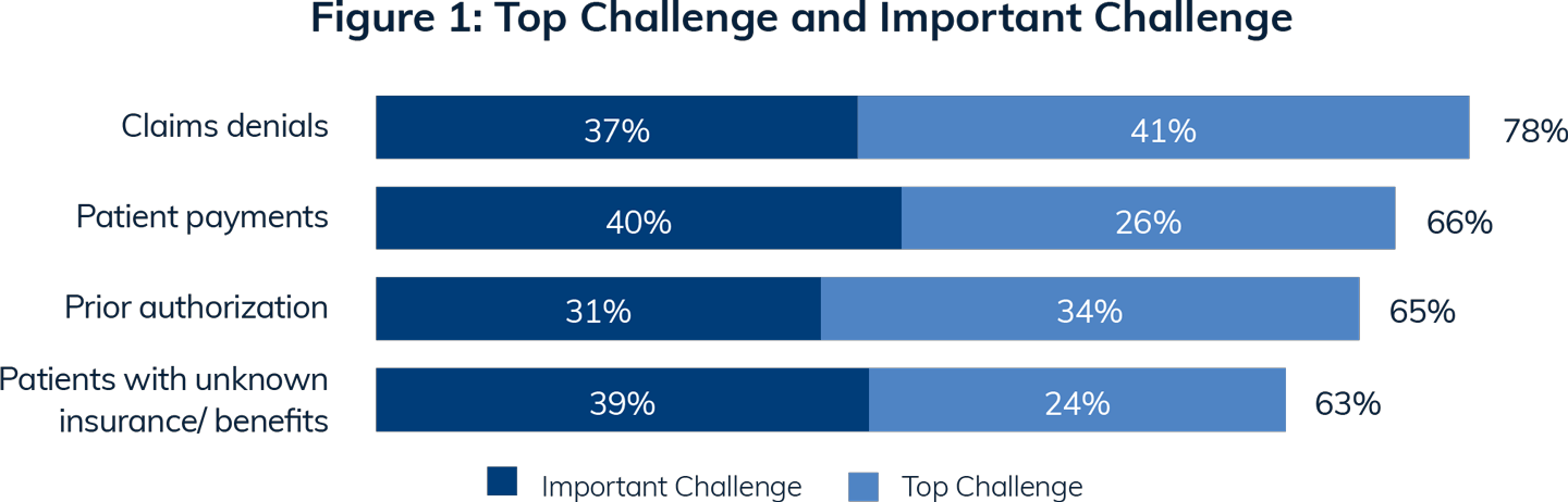 Figure 1: Top Challenge and Important Challenge