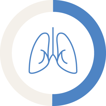 A blue outline of human lungs inside a circle, featuring a thick blue arc covering about one-fourth of the right side—symbolizing quality improvement solutions—creates a partial ring against a light background.