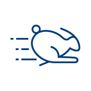 rabbit running icon