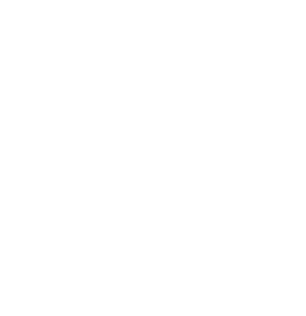 bag with currency icon