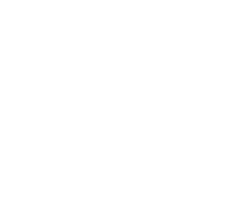 Simple white outline drawing of human lungs and trachea on a light gray background, ideal for illustrating topics like COPD treatment.
