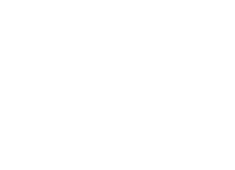 magnifying glass with stats icon