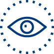 eye icon