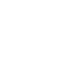White concentric circles with a line extending from the center to the outer edge, resembling a target or bullseye—symbolizing resource allocation—on a light gray background.