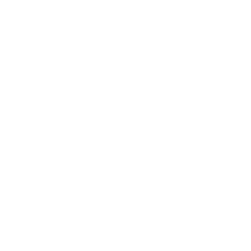 x icon