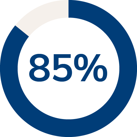 pie graph with 85% in center