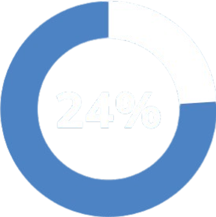 24%