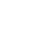 LinkedIn White Icon
